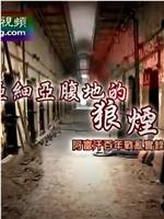 皇牌大放送 亚细亚腹地的狼烟：阿富汗百年战乱实录在线观看