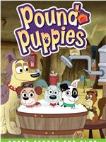 Pound Puppies在线观看