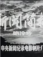 新闻简报1974年第19号