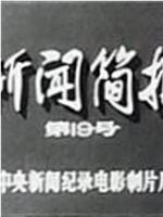 新闻简报1973年第19号