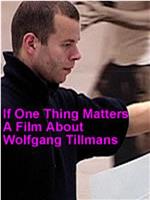 如果有一件事是重要的：关于沃尔夫冈·提尔曼斯