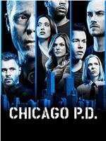 芝加哥警署 第六季