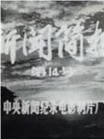 新闻简报1974年第14号在线观看