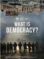 何为民主？