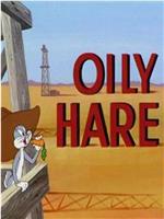 Oily Hare在线观看