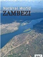 自然世界：赞比西河在线观看