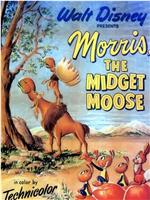 Morris, The Midget Moose