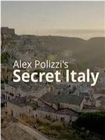亚历克斯·波利齐的秘密意大利
