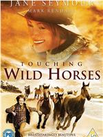 Touching Wild Horses在线观看