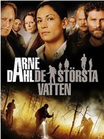 Arne Dahl: De största vatten