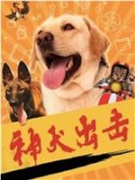 神犬出击在线观看