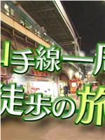 ドキュメント72時間 山手線一周徒歩の旅・東京都心の“幸福論”在线观看