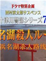 西村京太郎悬疑推理.十津川警部系列7 浜名湖杀人路线