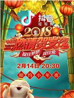 浙江卫视2018中国蓝燃情贺岁夜