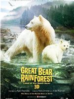 大熊雨林在线观看