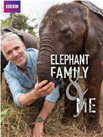 非洲象家族与我在线观看