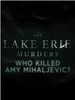 伊利湖谋杀案 第一季在线观看