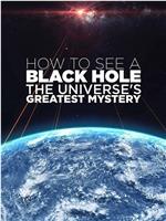 如何看见黑洞：宇宙的终极秘密在线观看
