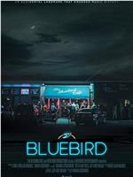 蓝鸟咖啡馆