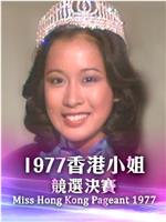 1977香港小姐竞选在线观看