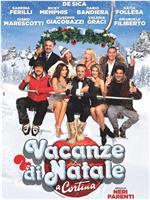 Vacanze di Natale a Cortina