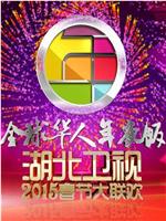 湖北卫视2015春节大联欢在线观看