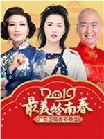 最美岭南春——2019广东卫视春节晚会在线观看