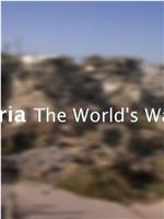叙利亚：世界战场在线观看