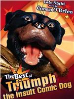 The Best of Triumph the Insult Comic Dog在线观看