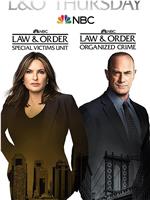法律与秩序：特殊受害者 第二十三季在线观看