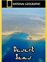 Desert Seas