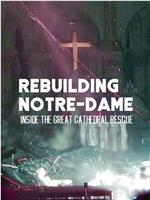 古教堂大救援：争分夺秒拯救巴黎圣母院在线观看