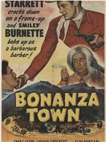 Bonanza Town