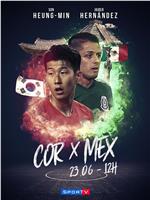 2018世界杯韩国VS墨西哥在线观看