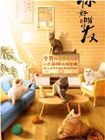 你好喵室友