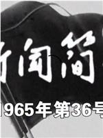 新闻简报1965年第36号在线观看