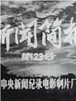 新闻简报1974年第23号