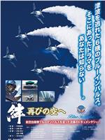 絆 再びの空へ Blue Impulse