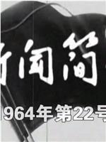 新闻简报1964年第22号