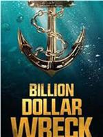 Billion Dollar Wreck Season 1在线观看