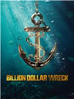 Billion Dollar Wreck Season 1在线观看