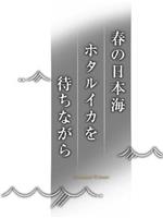 纪实72小时 春天的日本海 等待荧光乌贼在线观看