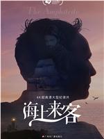 海上来客