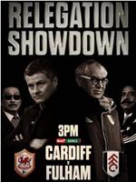 Cardiff City vs Fulham