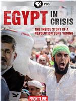 前线: 埃及危机在线观看