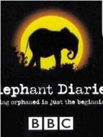 大象日记 第一季在线观看