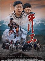 牛王在线观看