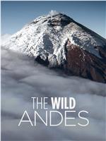 安第斯山脉 第一季在线观看