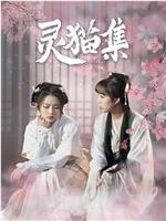 灵猫集在线观看