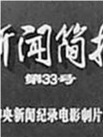 新闻简报1973年第33号